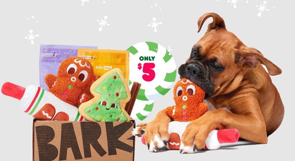 dog with christmas toys from barkbox