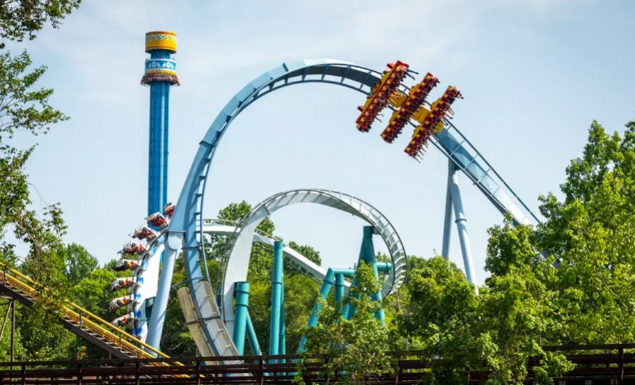 Busch Gardens roller coaster