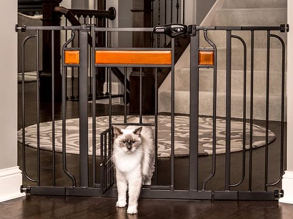 pet gate with cat