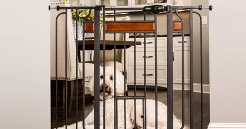 pet gate with dog