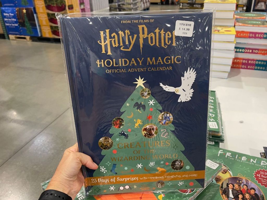 A hand holding Costco Harry Potter Advent Calendar