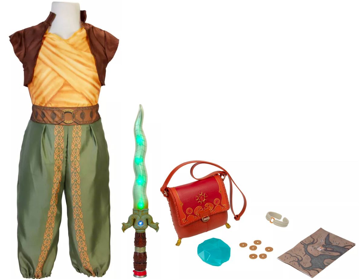 stock image of a Disney Raya last dragon costume with various accessories