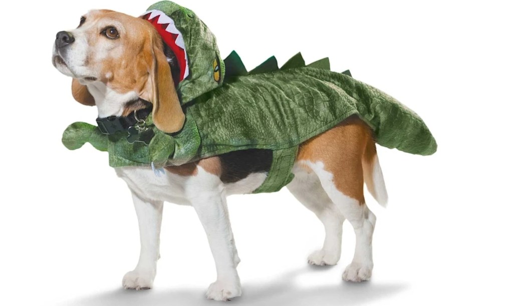 dog in a dinosaur costume
