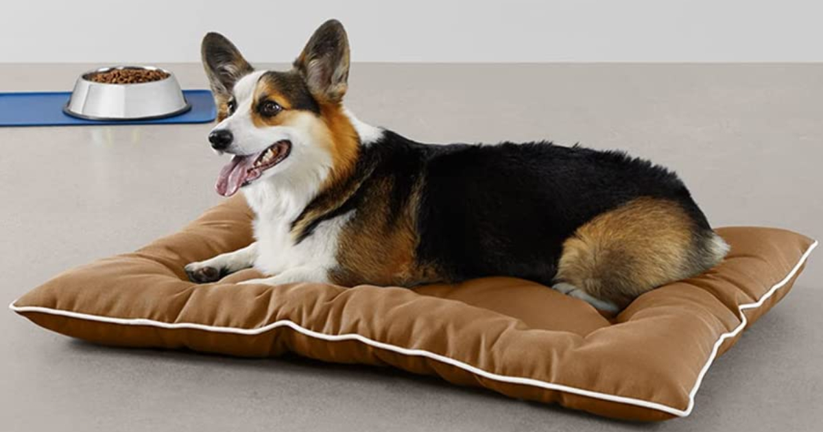 Blue Basics Outdoor Water Repellent Pet Pillow Bed Medium 