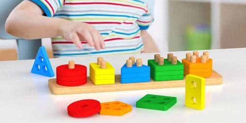 Montessori Toy Puzzle Only $7.98 on Amazon (Regularly $25)