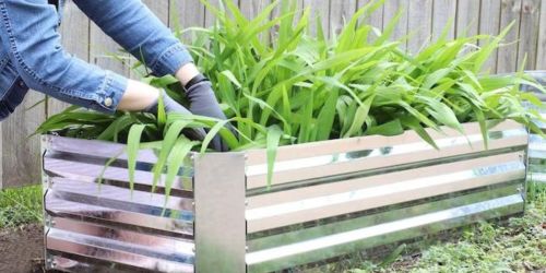 Galvanized Steel Raised Garden Beds from $39.40 on Lowe’s.com (Regularly $57+)