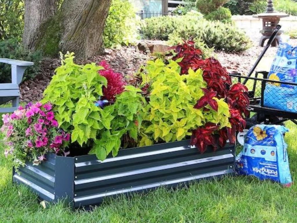 Galvanized Steel Raised Garden Bed filled with plants
