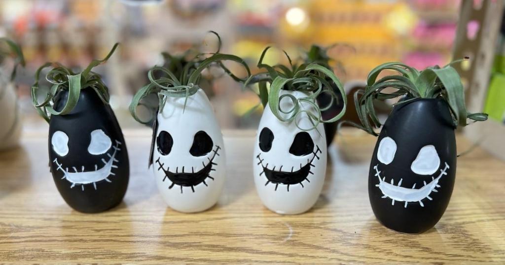 LiveTrends Ghoul Planters with Tillandsia Plants