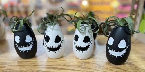 Trader Joe’s Plants in Ghoul Planters Only $7.99