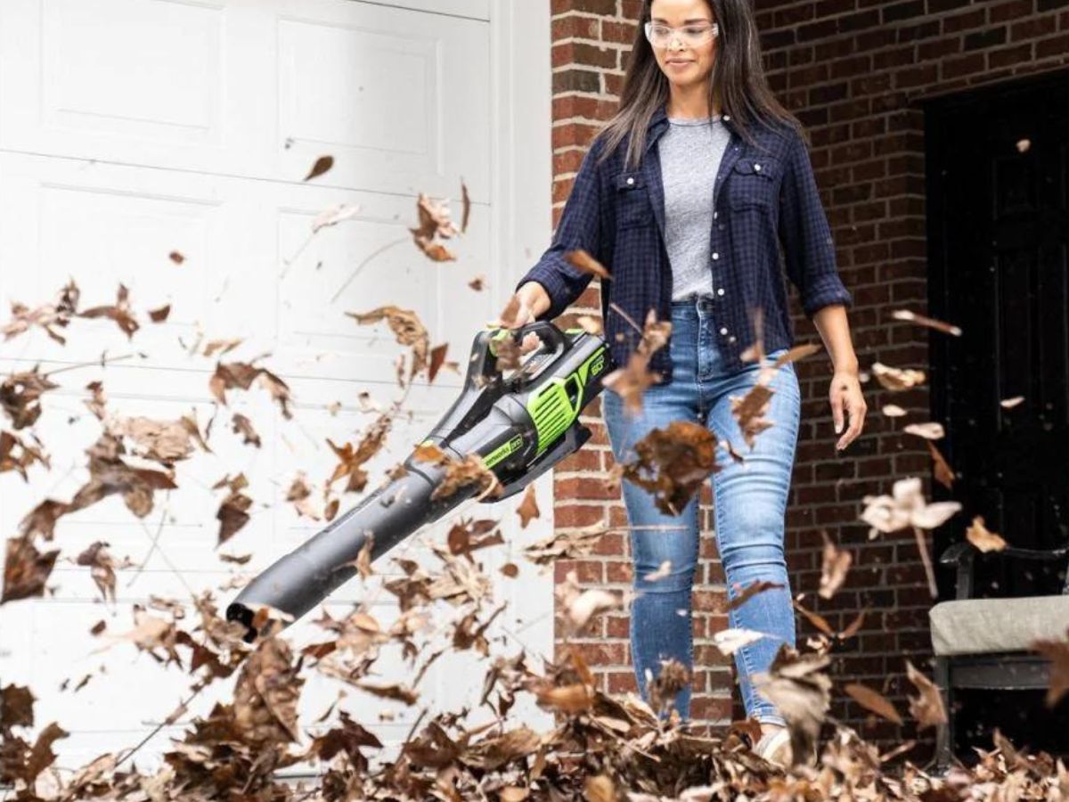 Home depot greenworks leaf blower sale