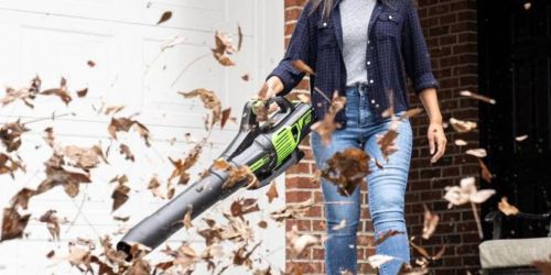 Greenworks Pro 60V Cordless Leaf Blower Only $39.50 Shipped on HomeDepot.com (Regularly $158)