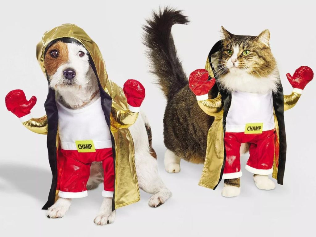 30 Off Target Pet Costumes for Halloween Hip2Save