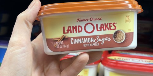Land O Lakes Cinnamon Sugar Butter Spread is Back at Walmart (Seasonal Favorite)