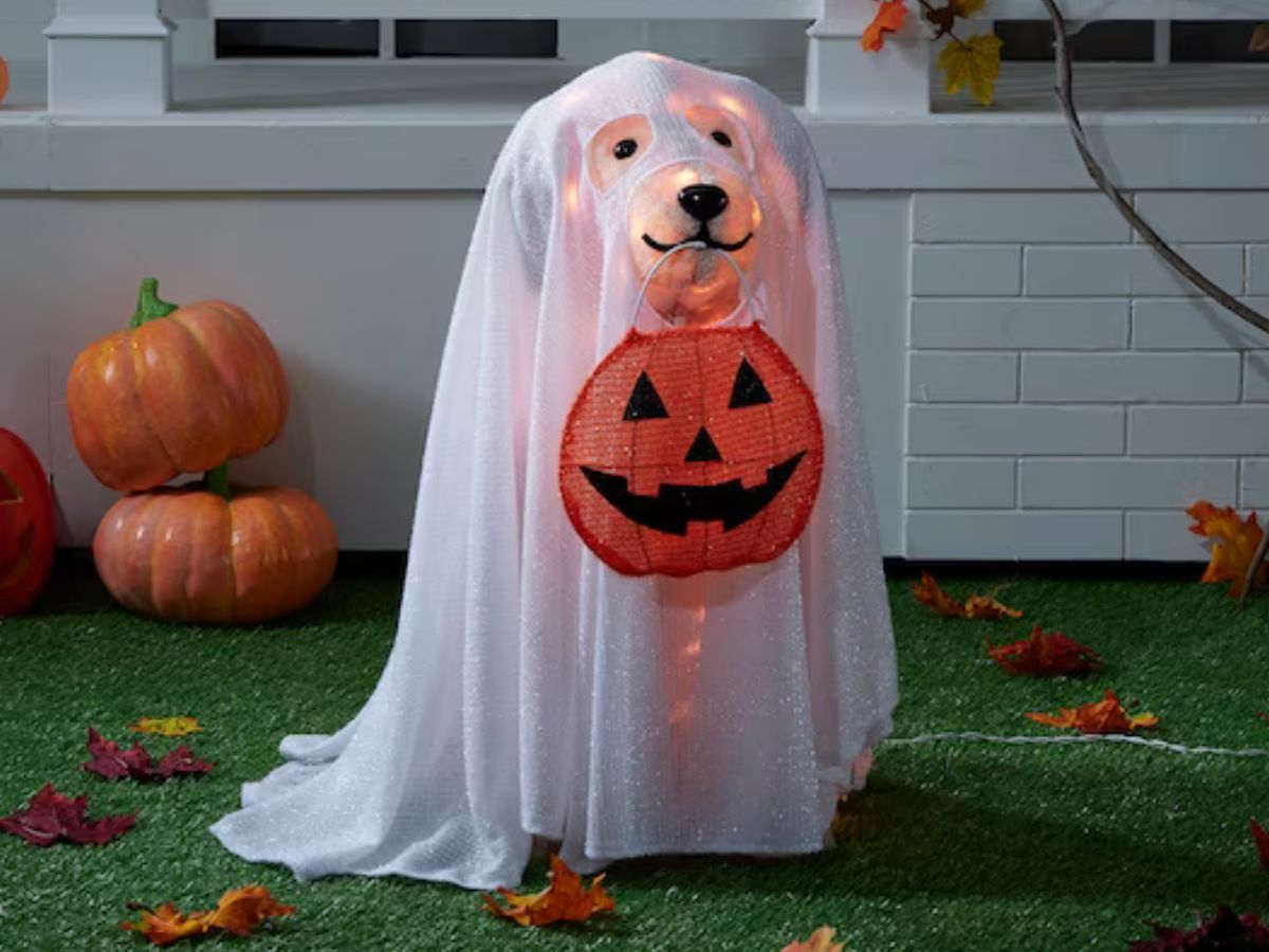Haunted Living 24-in Lighted Labrador Retriever Dog with Cape