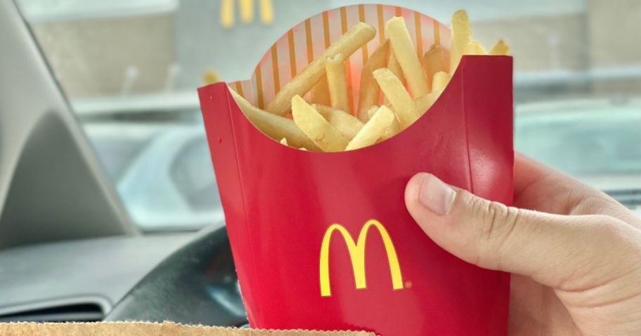 hand holding McDonalds Fries