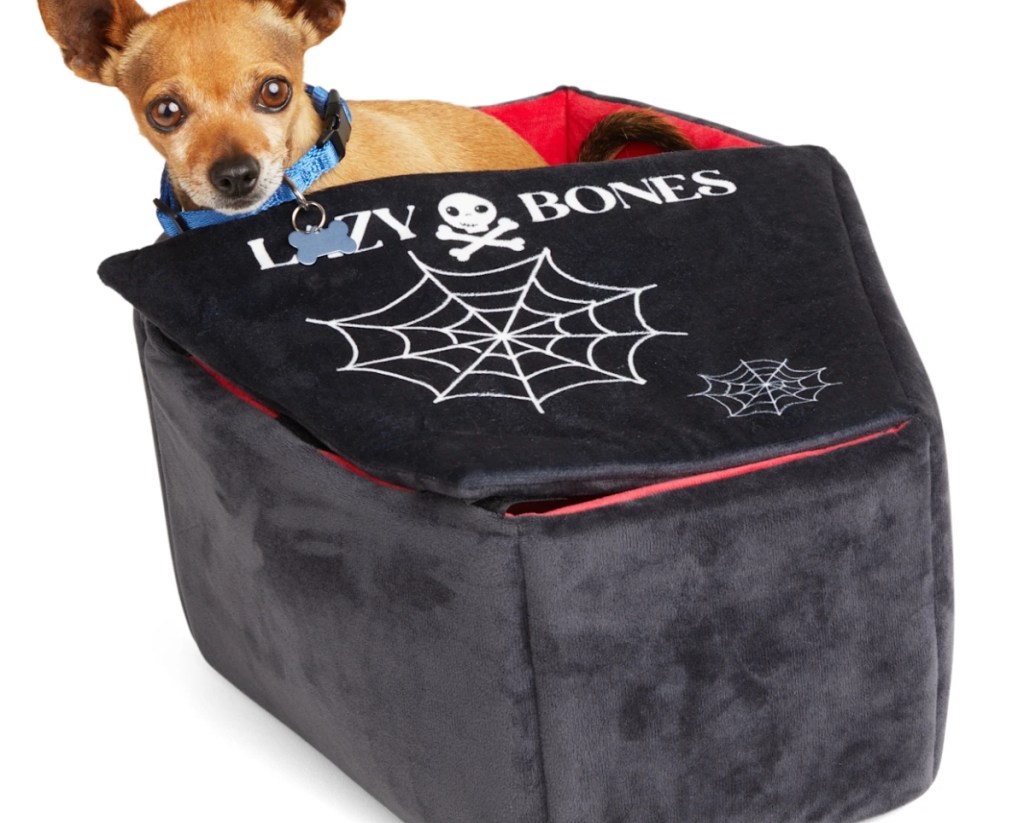 dog in a coffin bed