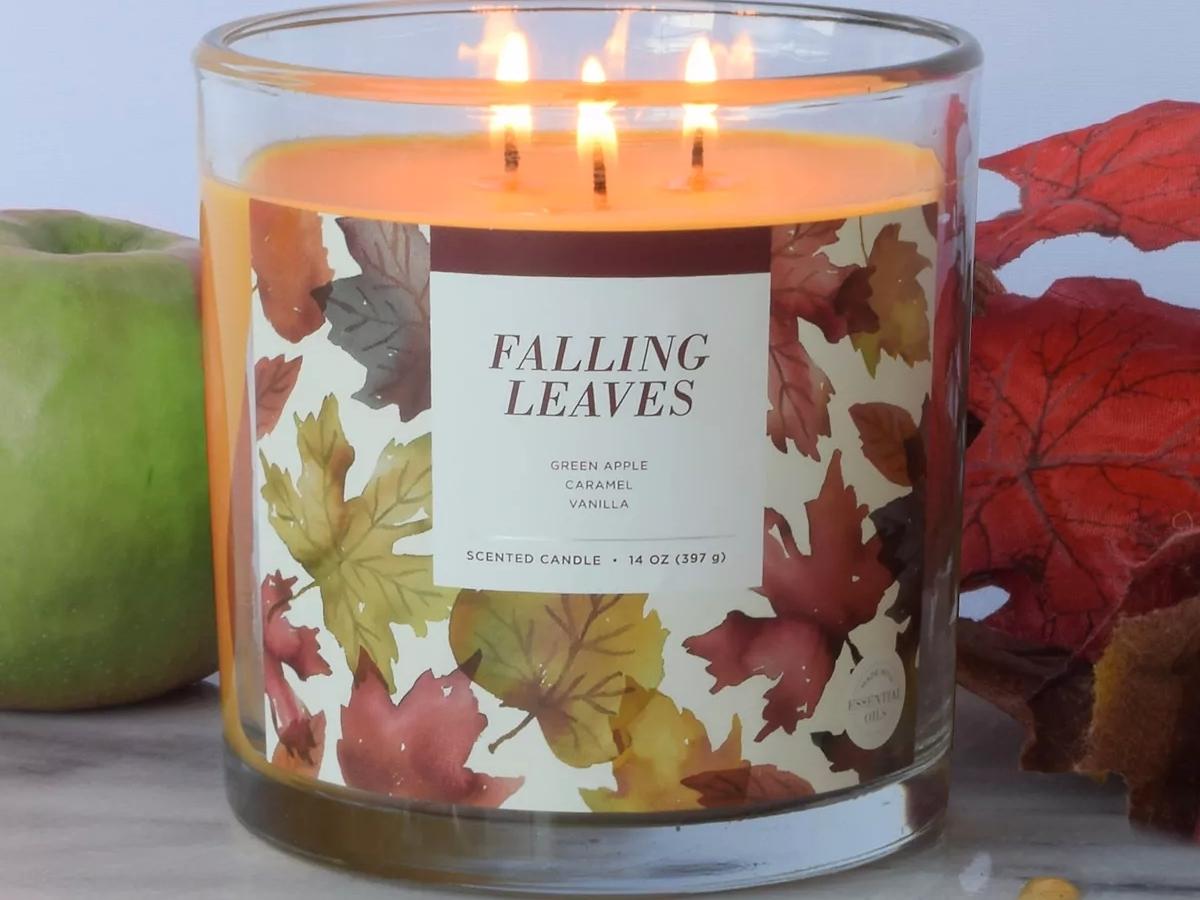 Sonoma Goods for Life Falling Leaves 14oz Candle Jar