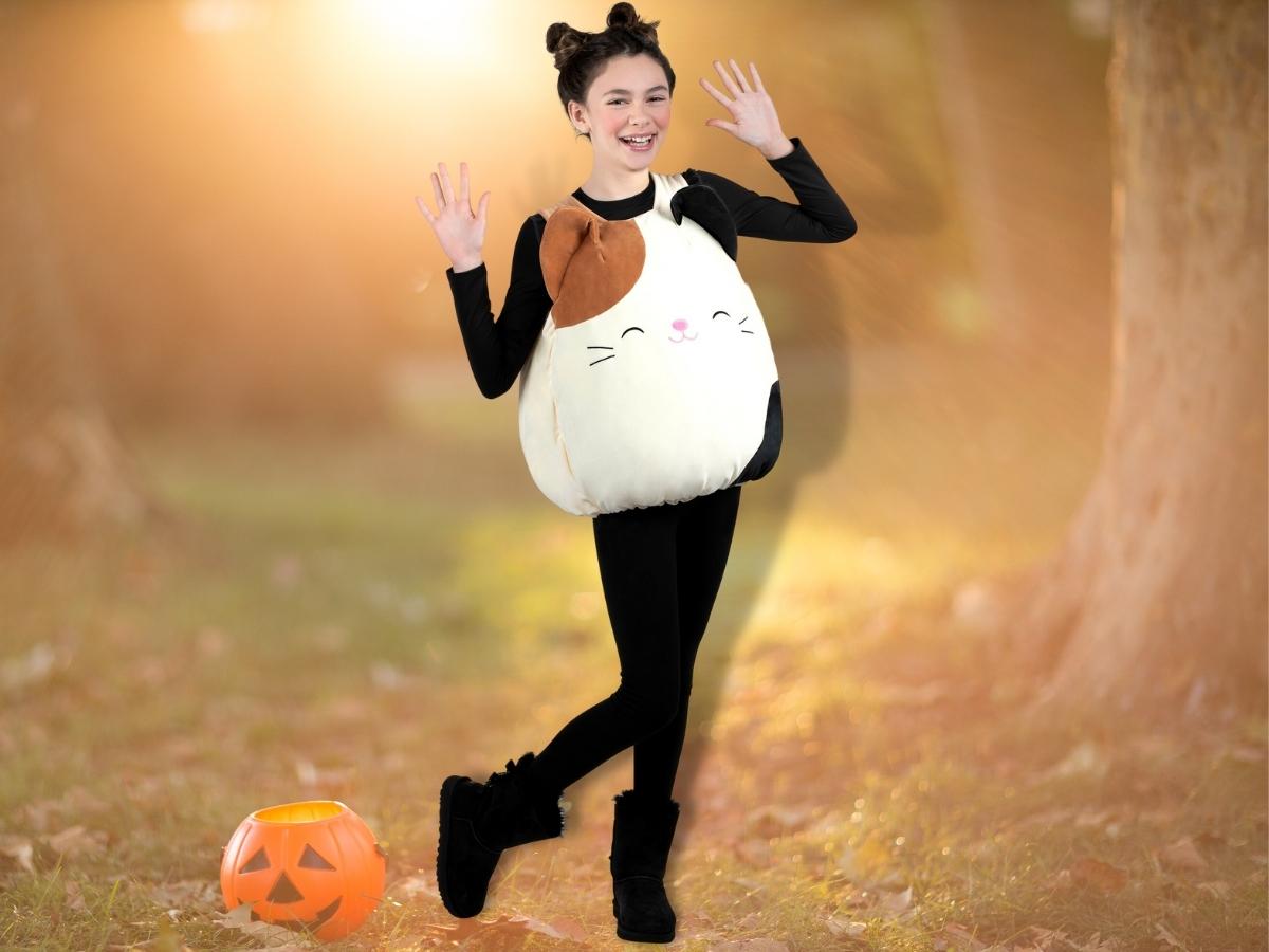 Squishmallows Halloween Costumes
