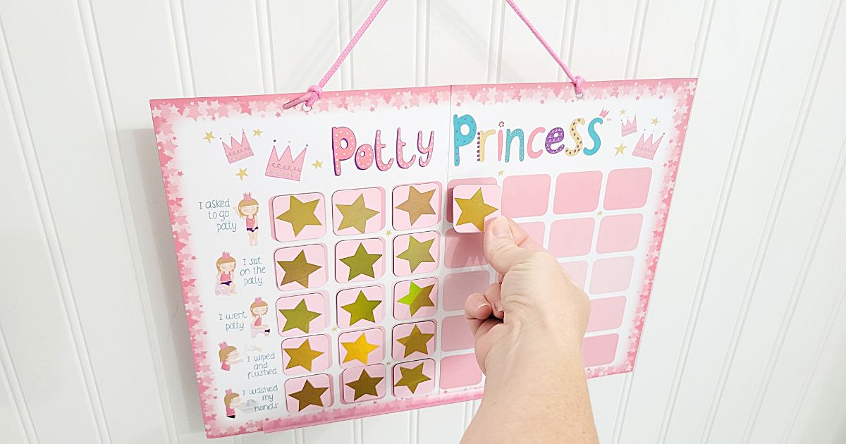 person putting stars on potty princess chart