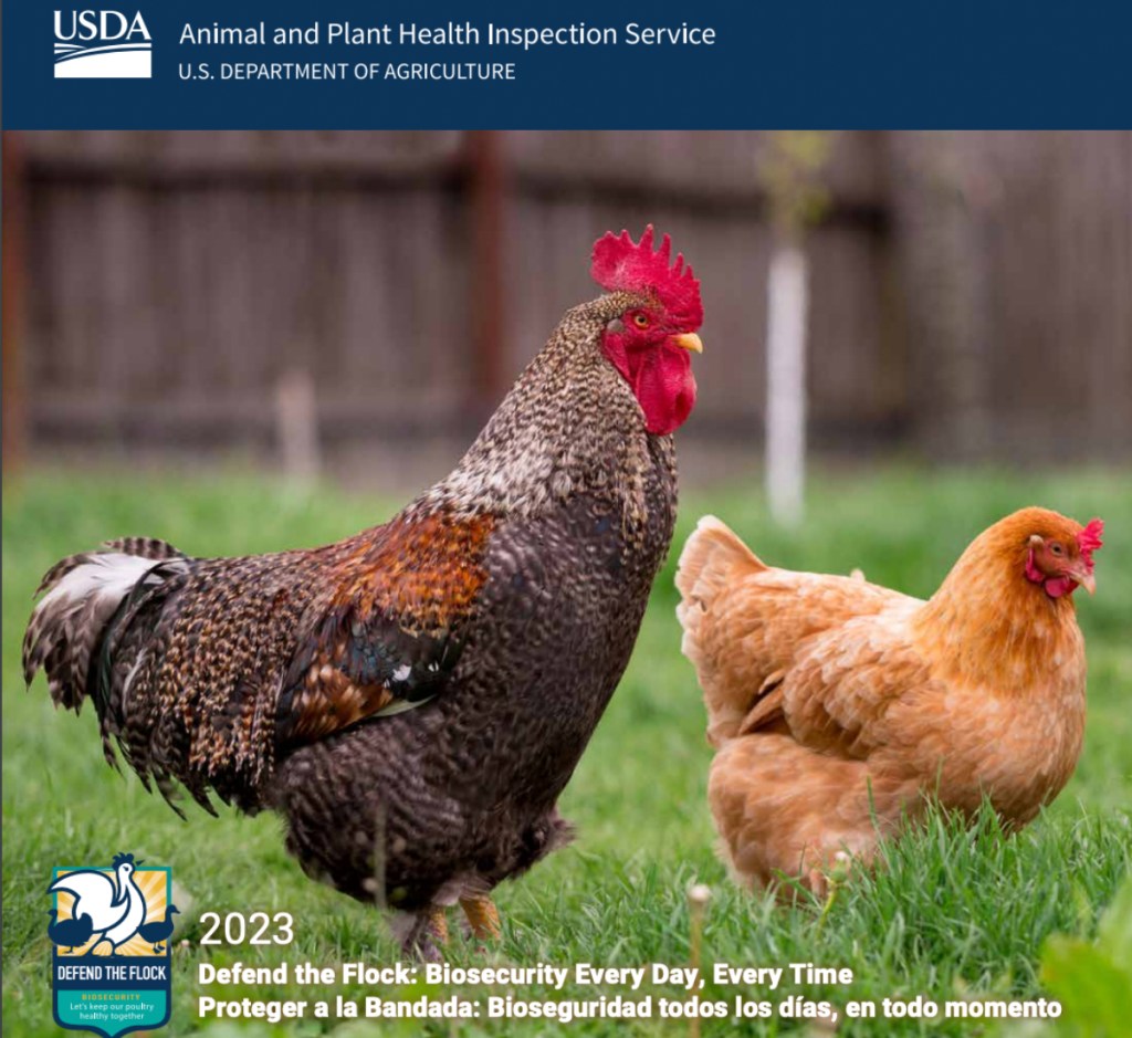 FREE 2025 USDA Chicken Calendar Hip2Save