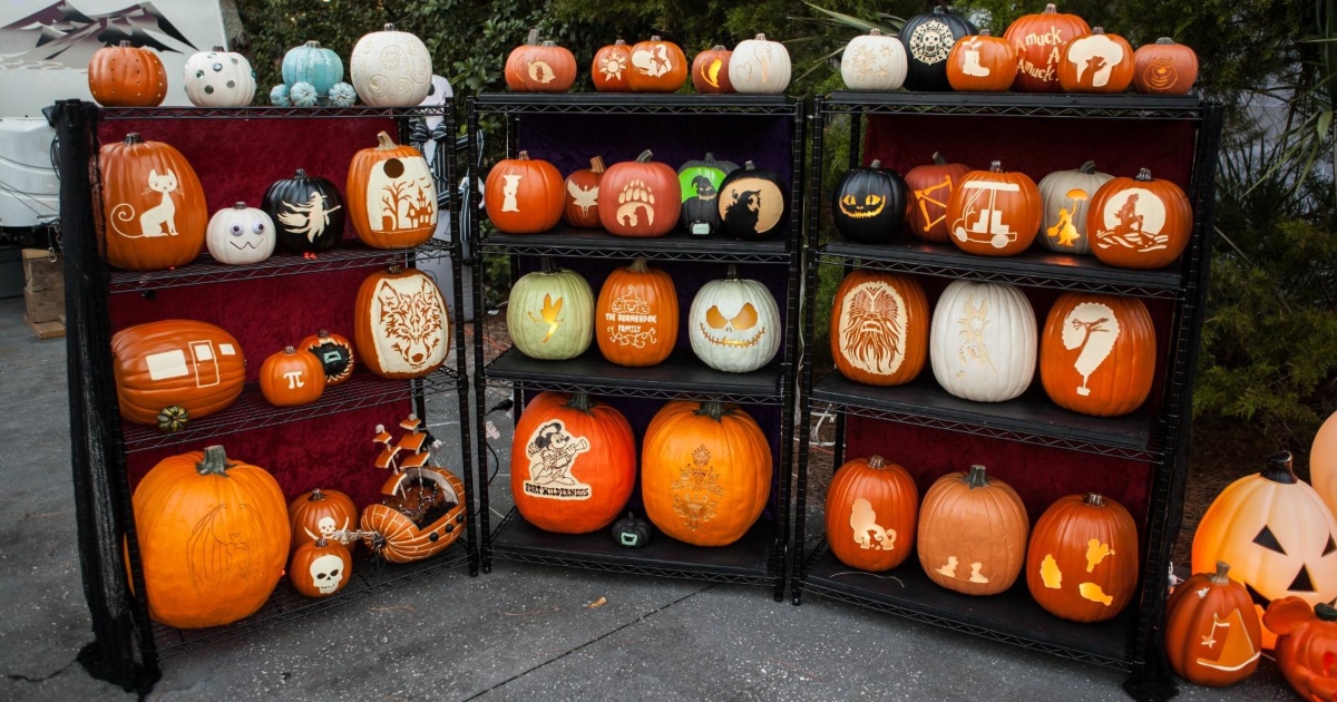 10 Amazon Best Sellers in Home Storage & Organization Hip2Save