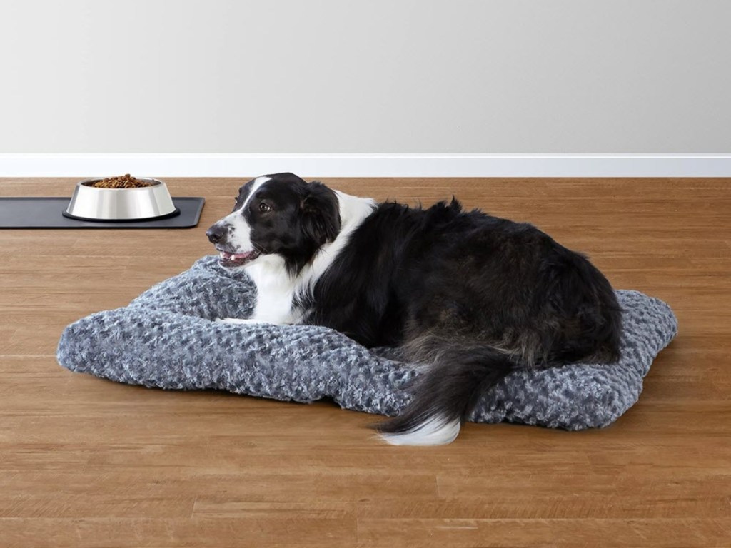 dog on gray bed pad