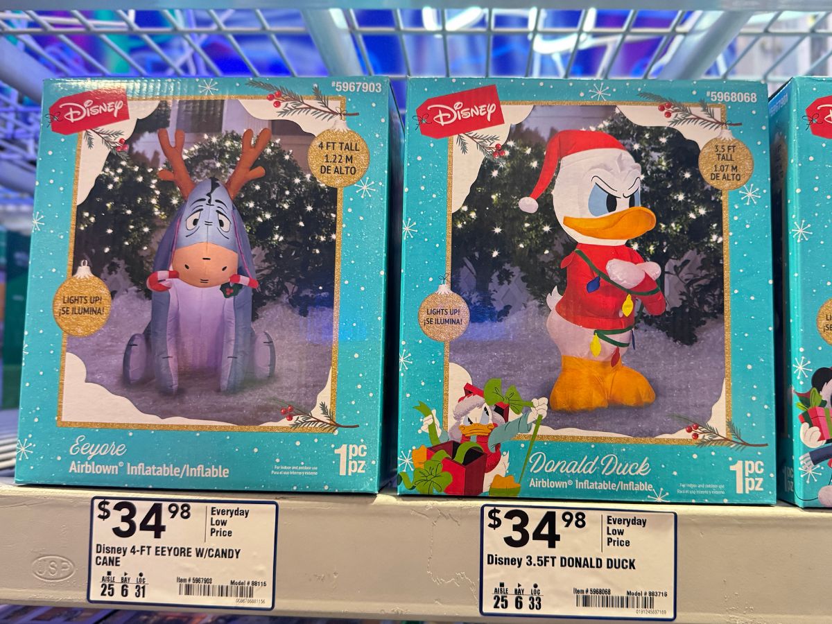 Disney christmas inflatables australia