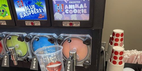 Frosted Animal Cookie Icee Now Available at Target for a Limited Time