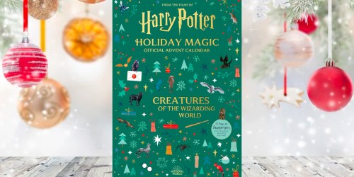 Harry Potter Advent Calendar Only $19.95 on Amazon (Regularly $30)