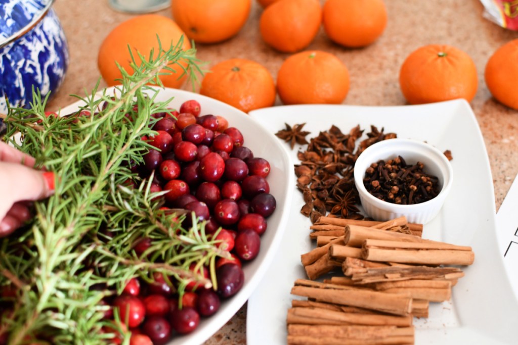 ingredients to make christmas simmer pot