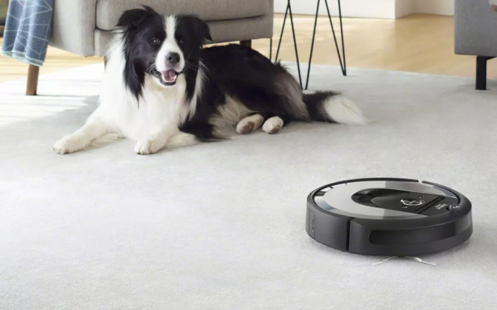 robot vacuum next to dog