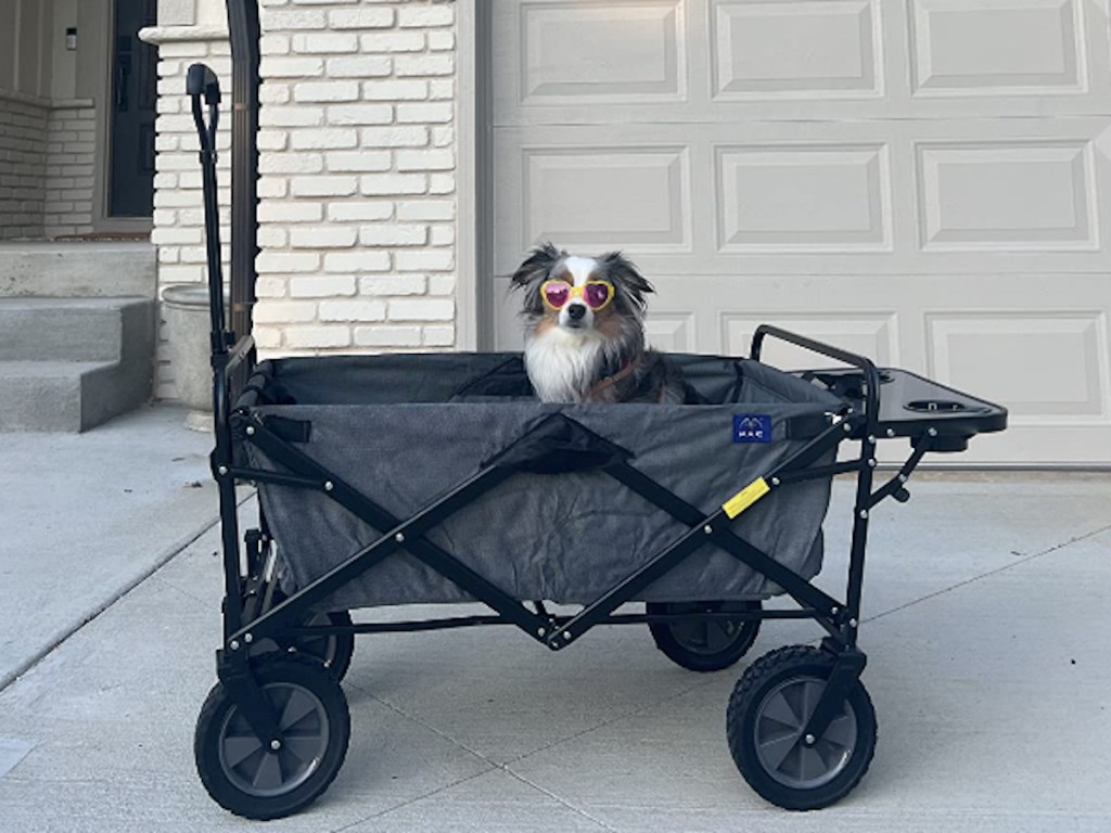 dog with sunglasses sitting in gray wagon on driveway