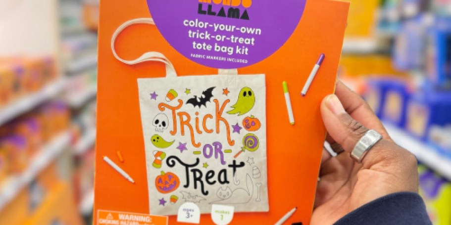 Target Halloween Activity Kits Just $5 (Fun for Kids & Adults!)