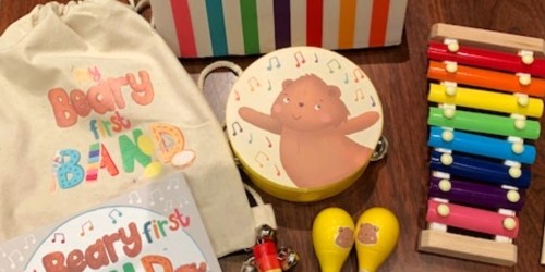 My Beary First Band Musical Instruments Gift Set Just $14 on Amazon (Includes Maracas, Xylophone, & More)