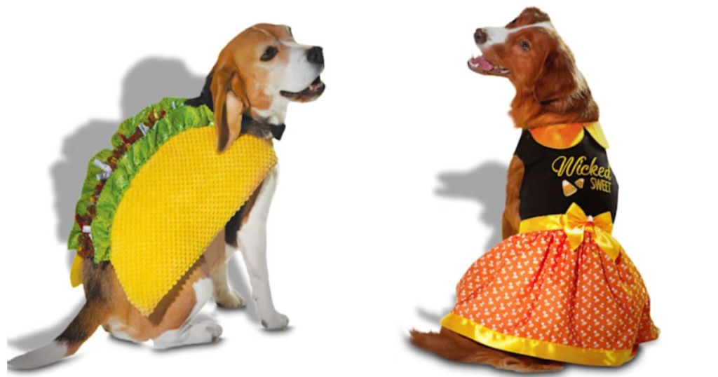 dog in taco costume and dog in wicked sweet costume