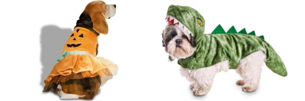 dog wearing pumpkin dress costume and dog wearing dinosaur costume