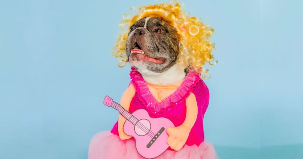 bulldog dressed in doggy parton costume