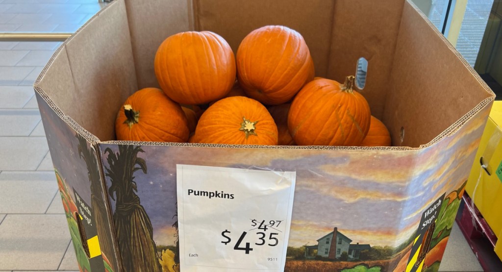 pumpkins displayed at ALDI with its price on the box
