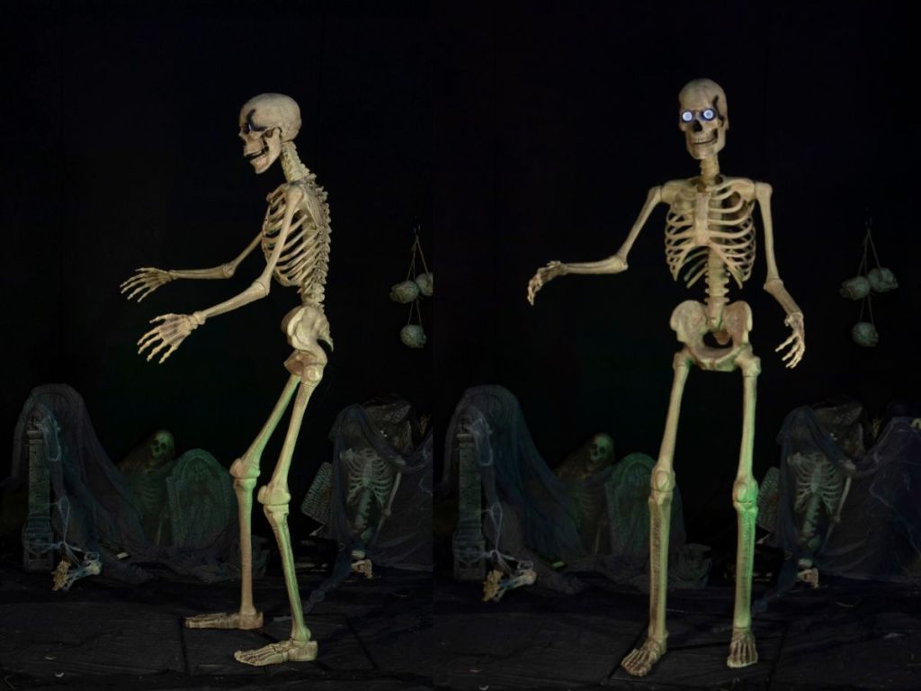 side and front view of Halloween skeleton decoration