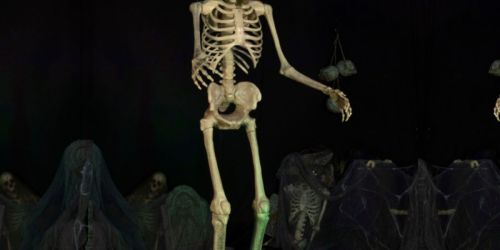 Towering 8-Foot Skeleton Halloween Decoration Only $174.99 Shipped (Regularly $350)