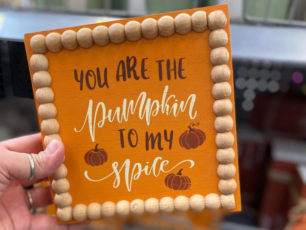 holding an orange wooden plaque reading "you are the pumpkin to my spice"