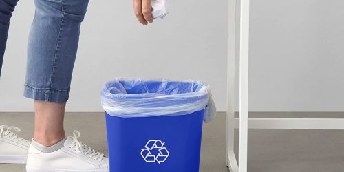 Amazon 3-Gallon Recycle Bins 2-Pack Only $10.94