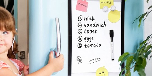 Amazon Basics Magnetic Dry Erase Whiteboard 6-Pack Only $10.84 (Just $1.80 Each)