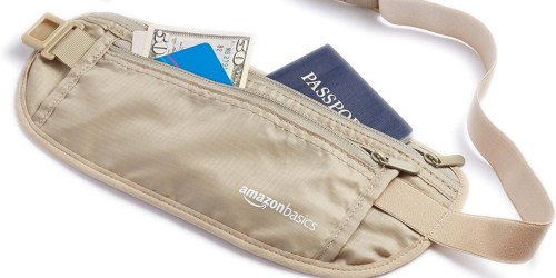 This Amazon Basics Fanny Pack Has lululemon Running Belt Vibes & It’s ONLY $2.99 (Will Sell Out)