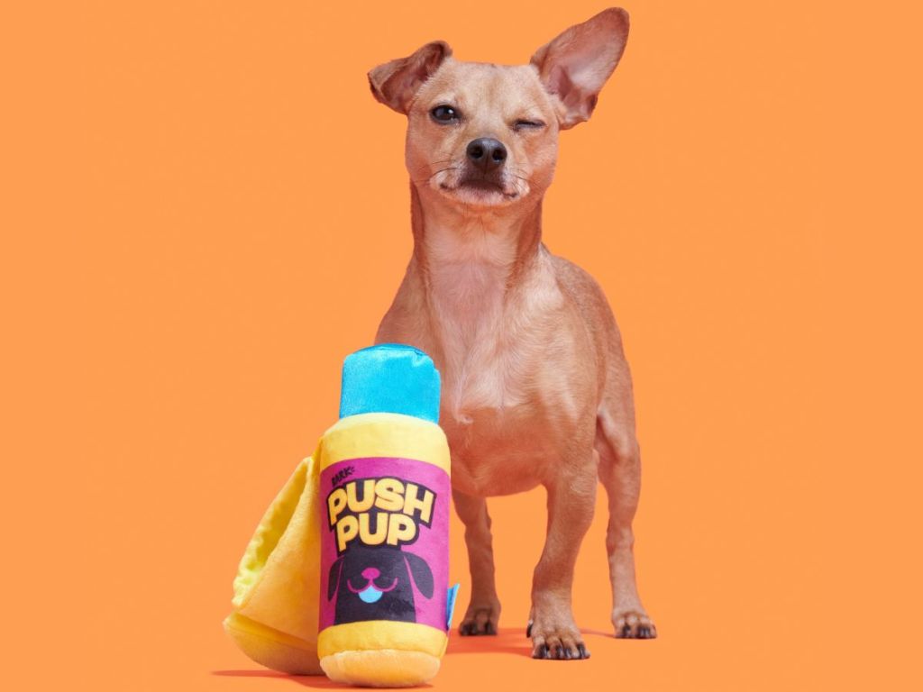 GO! BARK Halloween Dog Toys from 2.49 on (Reg. 10)