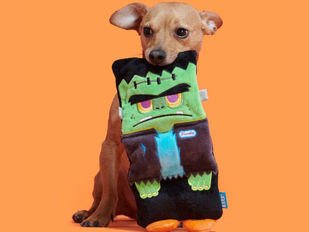 GO! BARK Halloween Dog Toys from 2.49 on (Reg. 10)