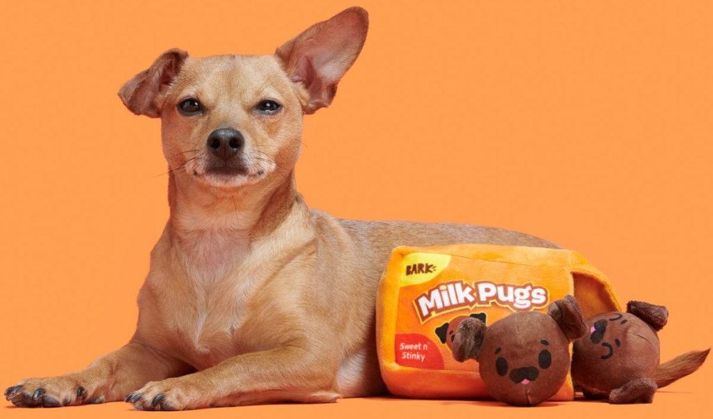 GO! BARK Halloween Dog Toys from 2.49 on (Reg. 10)