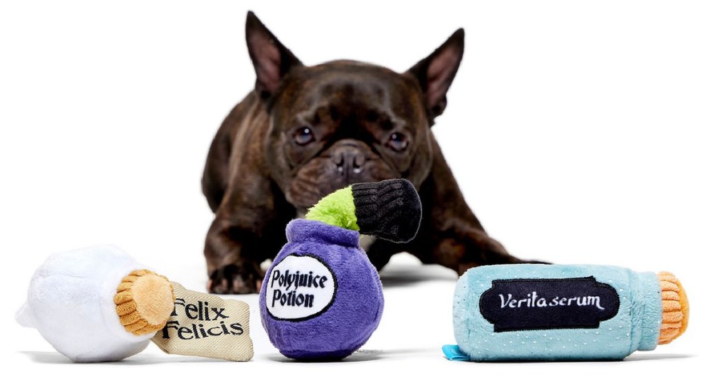  BARK Potions Class Pack Dog Toy