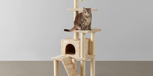 Amazon Basics Cat Trees from $40 Shipped (Regularly $80) | Get a 5′ Present for Your Cat!