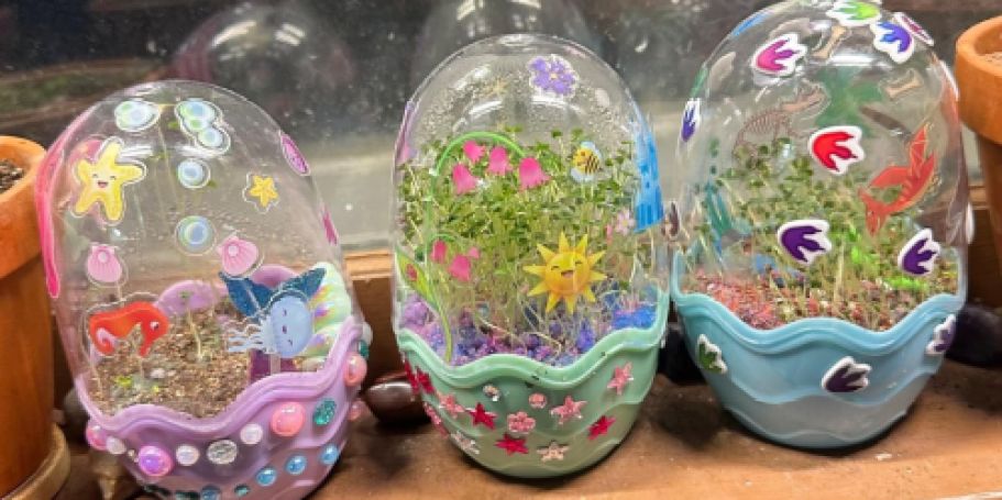 Creativity for Kids Mini Garden Terrariums Only $6.59 on Amazon (Reg. $12)